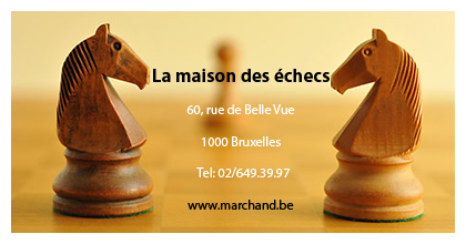 La maison des echecs bandeau 1